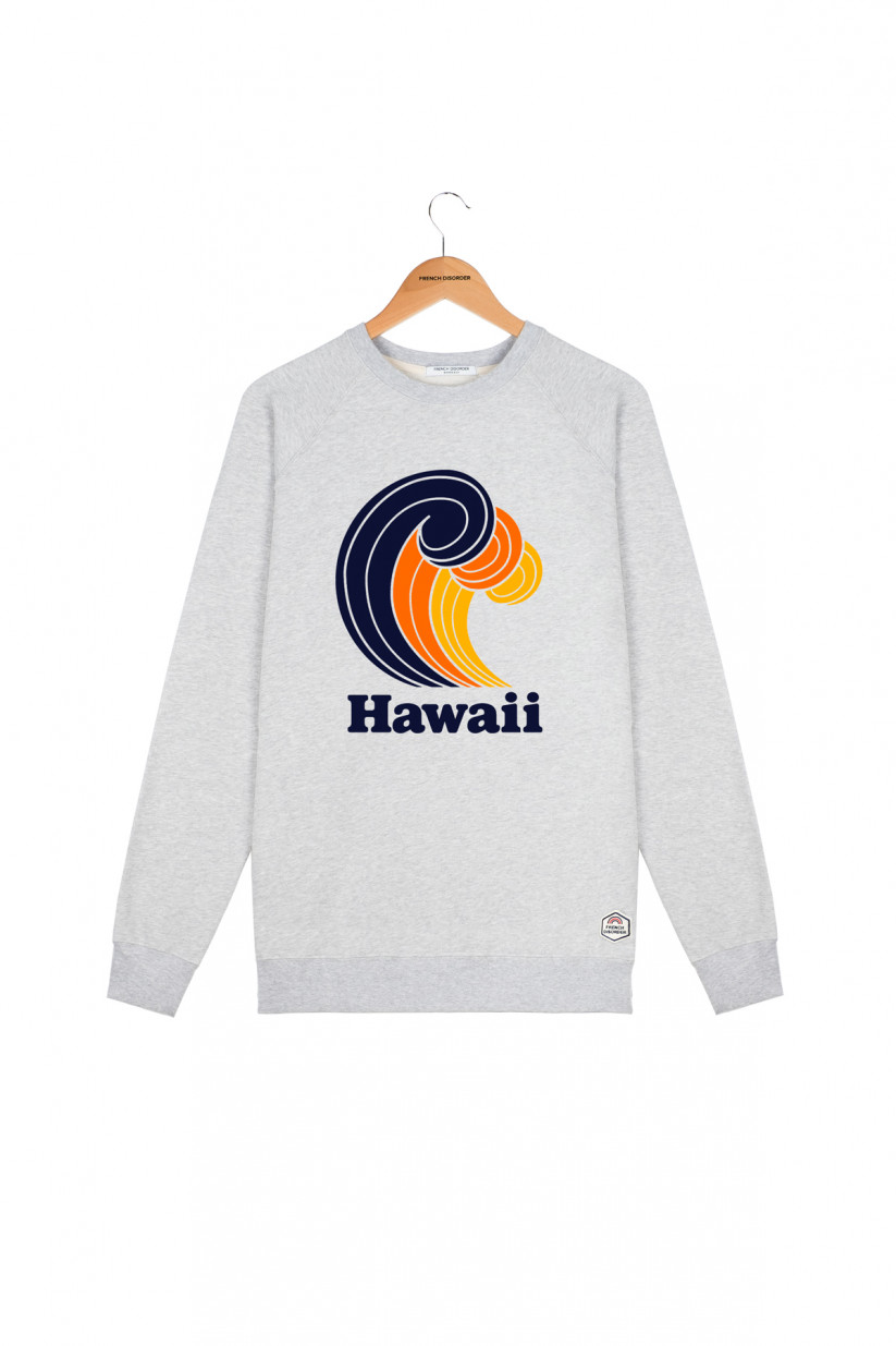 https://www.frenchdisorder.com/47381/sweater-homme-hawaii.jpg