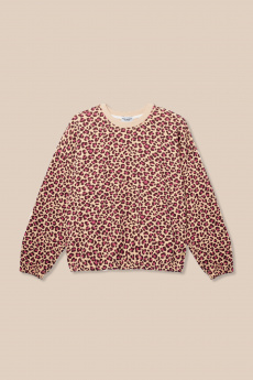 copy of  Sweat ALBA Léo